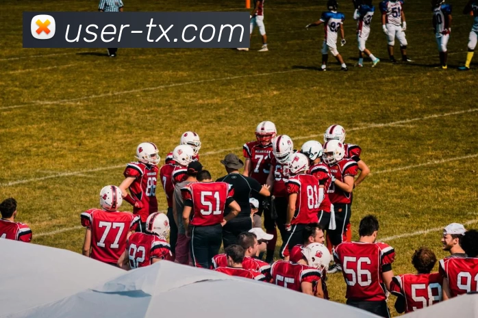 App Interface Preview