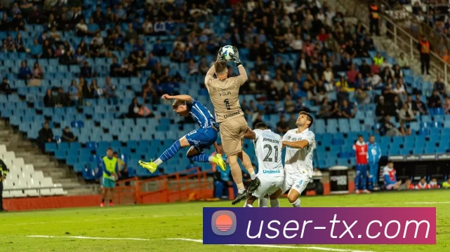 天行体育APP 封面图